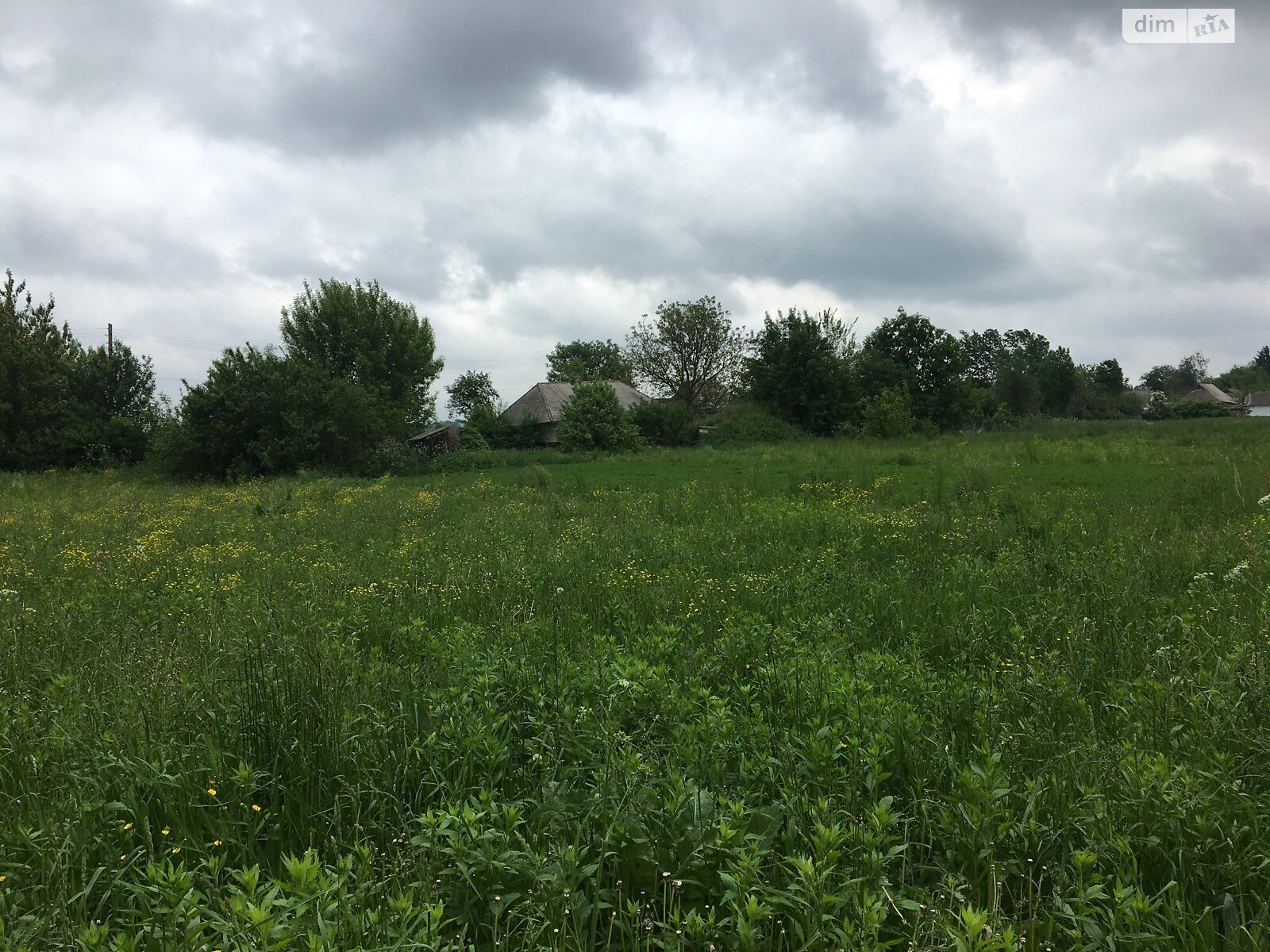 Земельный участок под жилую застройку в Сальнике, площадь 33.86 сотки фото 1 Земельный участок под жилую застройку в Сальнике, площадь 33.86 сотки фото 1