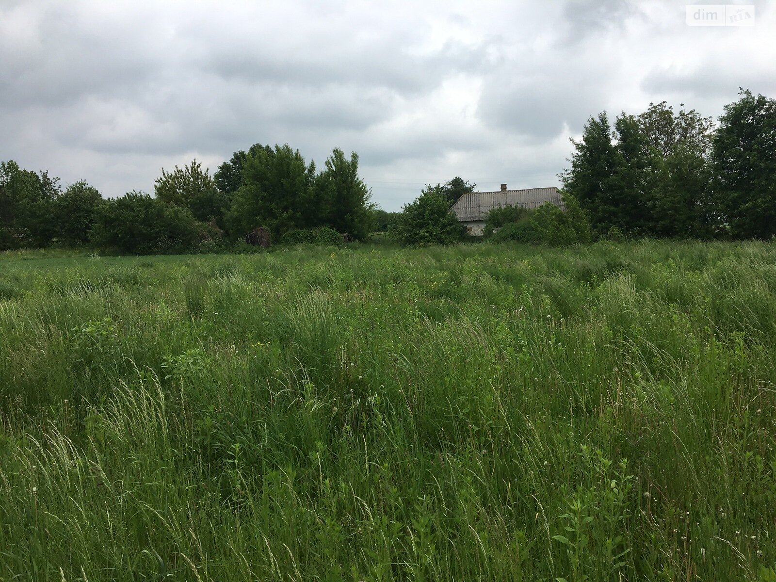 Земельный участок под жилую застройку в Сальнике, площадь 33.86 сотки фото 1 Земельный участок под жилую застройку в Сальнике, площадь 33.86 сотки фото 1