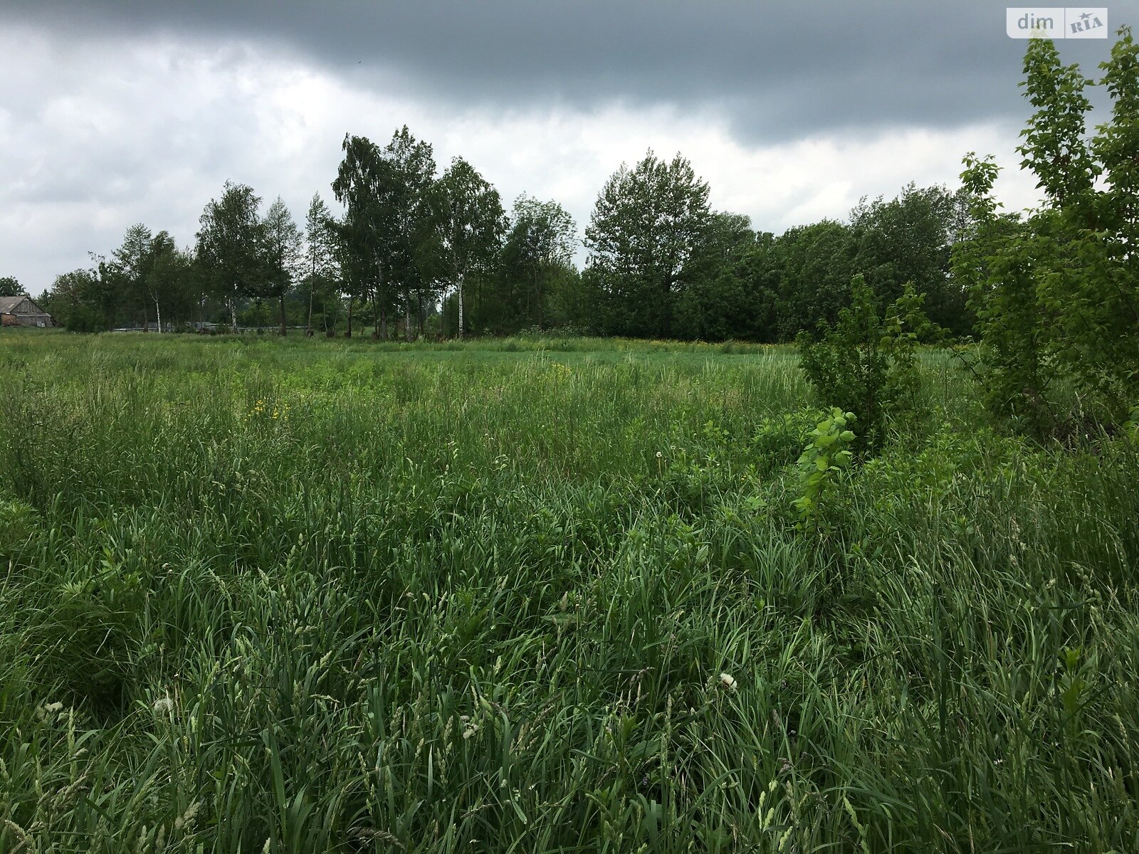 Земельный участок под жилую застройку в Сальнике, площадь 33.86 сотки фото 1 Земельный участок под жилую застройку в Сальнике, площадь 33.86 сотки фото 1