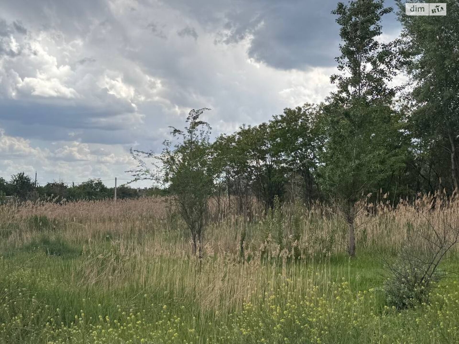 Земля під житлову забудову в Самарі, район Новомосковськ, площа 40 соток фото 1 Земля під житлову забудову в Самарі, район Новомосковськ, площа 40 соток фото 1