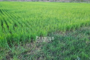 Земельна ділянка під житлову забудову в Санжійці, площа 10 соток фото 2 Земельна ділянка під житлову забудову в Санжійці, площа 10 соток фото 2