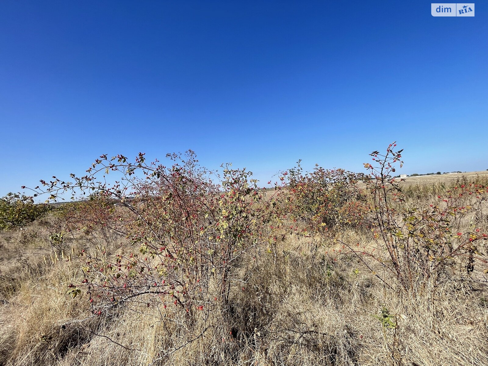 Земельный участок под жилую застройку в Санжейке, площадь 8 соток фото 1