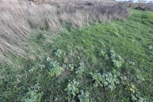 Земельный участок под жилую застройку в Санжейке, площадь 10 соток фото 2 Земельный участок под жилую застройку в Санжейке, площадь 10 соток фото 2