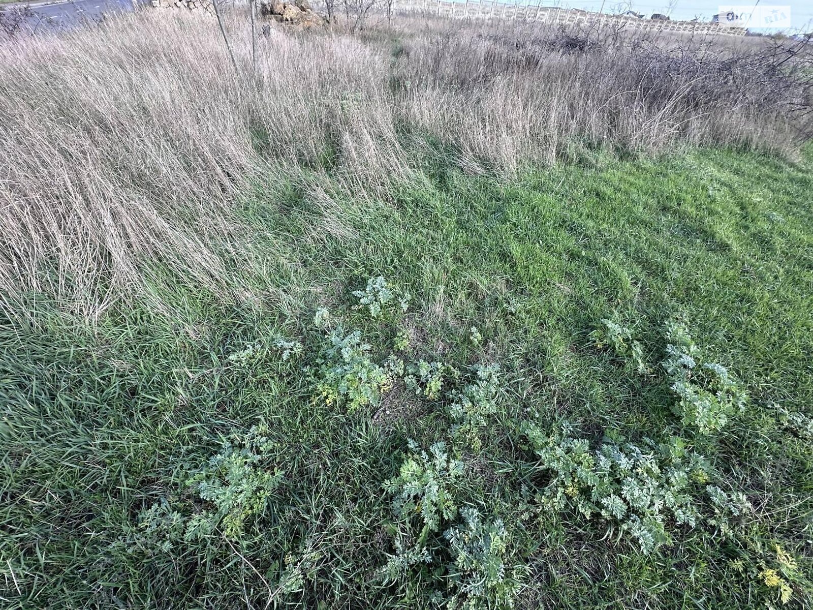 Земельный участок под жилую застройку в Санжейке, площадь 10 соток фото 1 Земельный участок под жилую застройку в Санжейке, площадь 10 соток фото 1