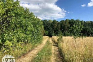 Земельна ділянка під житлову забудову в Щітках, площа 80 соток фото 2