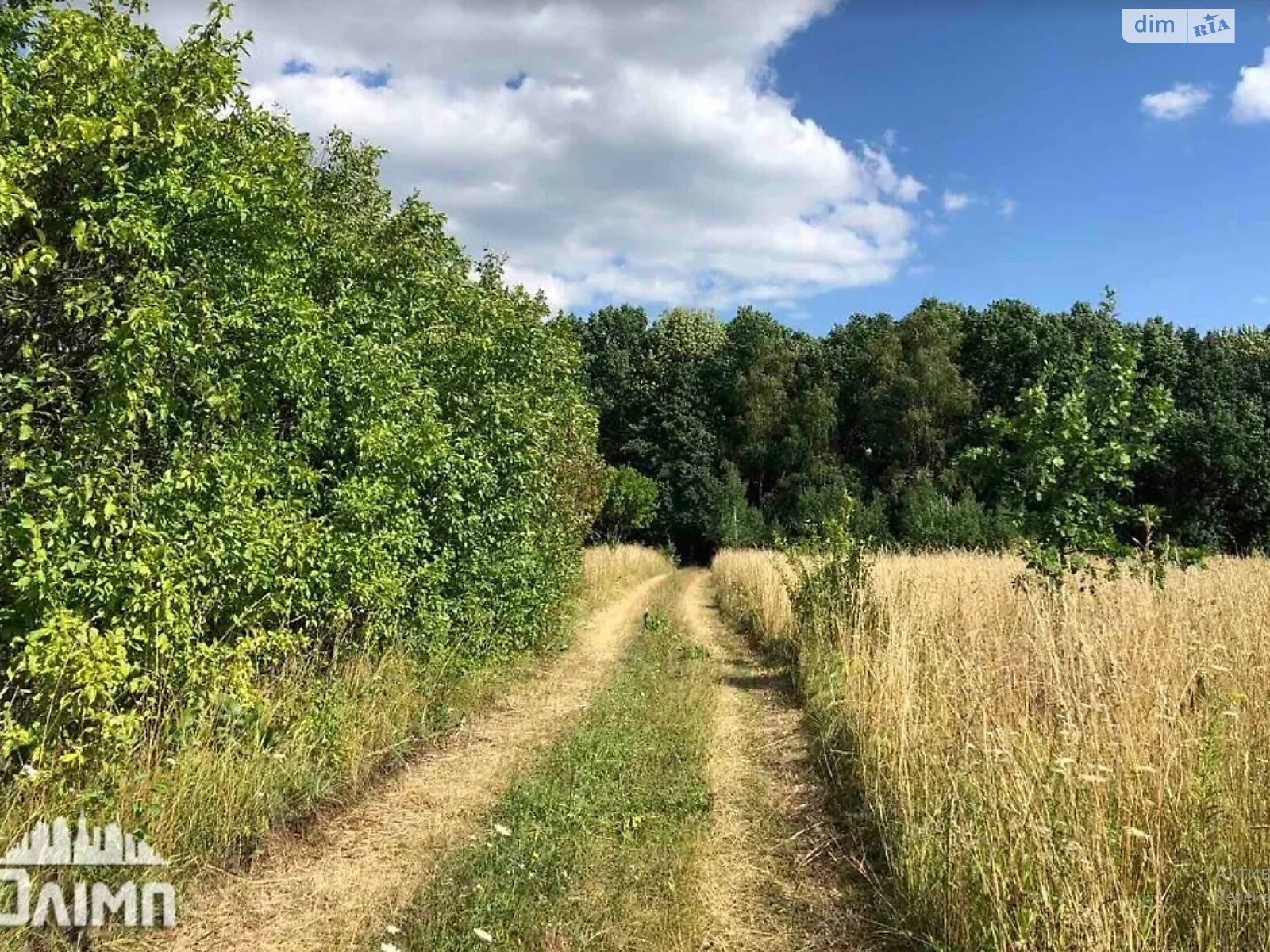 Земельна ділянка під житлову забудову в Щітках, площа 80 соток фото 1 Земельна ділянка під житлову забудову в Щітках, площа 80 соток фото 1