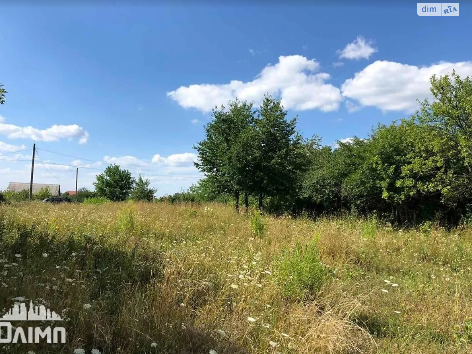 Земельна ділянка під житлову забудову в Щітках, площа 80 соток фото 1 Земельна ділянка під житлову забудову в Щітках, площа 80 соток фото 1