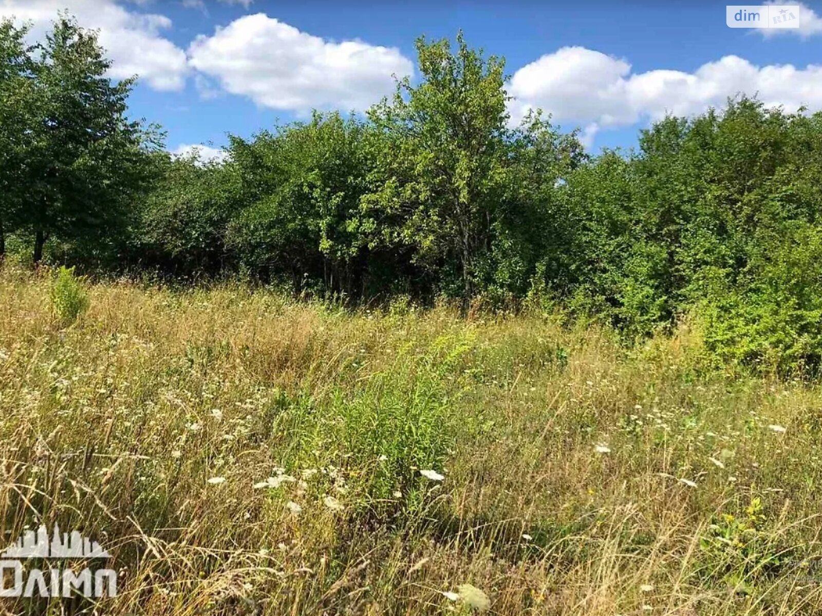 Земельна ділянка під житлову забудову в Щітках, площа 80 соток фото 1 Земельна ділянка під житлову забудову в Щітках, площа 80 соток фото 1