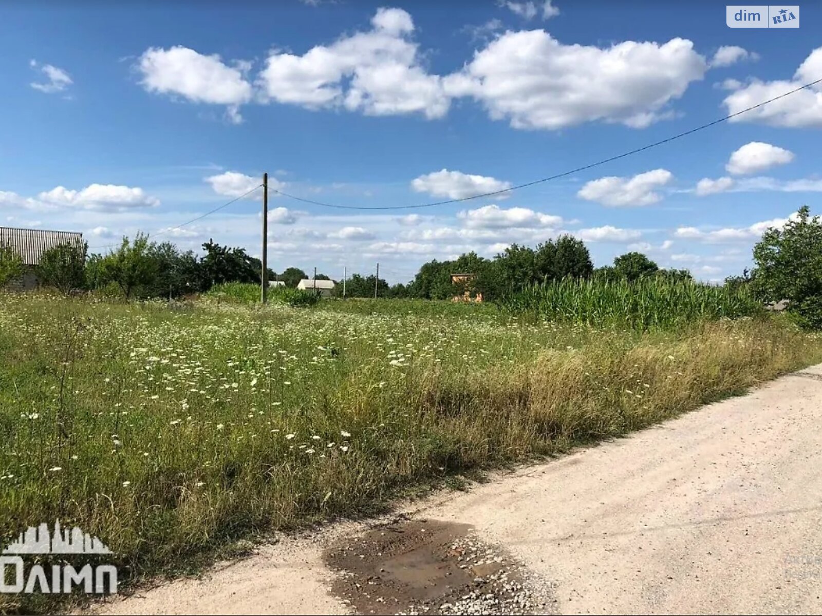 Земельна ділянка під житлову забудову в Щітках, площа 80 соток фото 1 Земельна ділянка під житлову забудову в Щітках, площа 80 соток фото 1