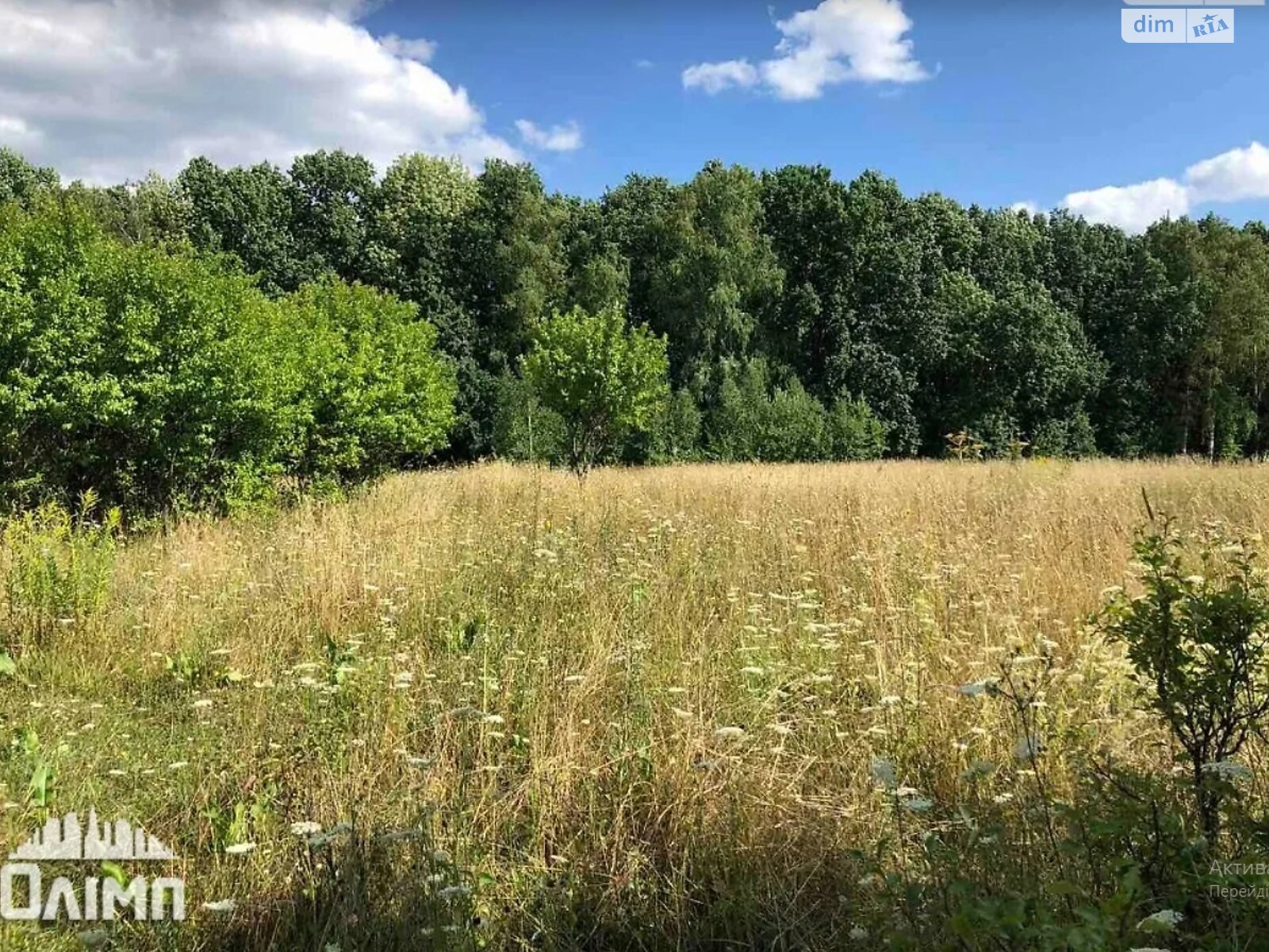 Земельна ділянка під житлову забудову в Щітках, площа 80 соток фото 1 Земельна ділянка під житлову забудову в Щітках, площа 80 соток фото 1