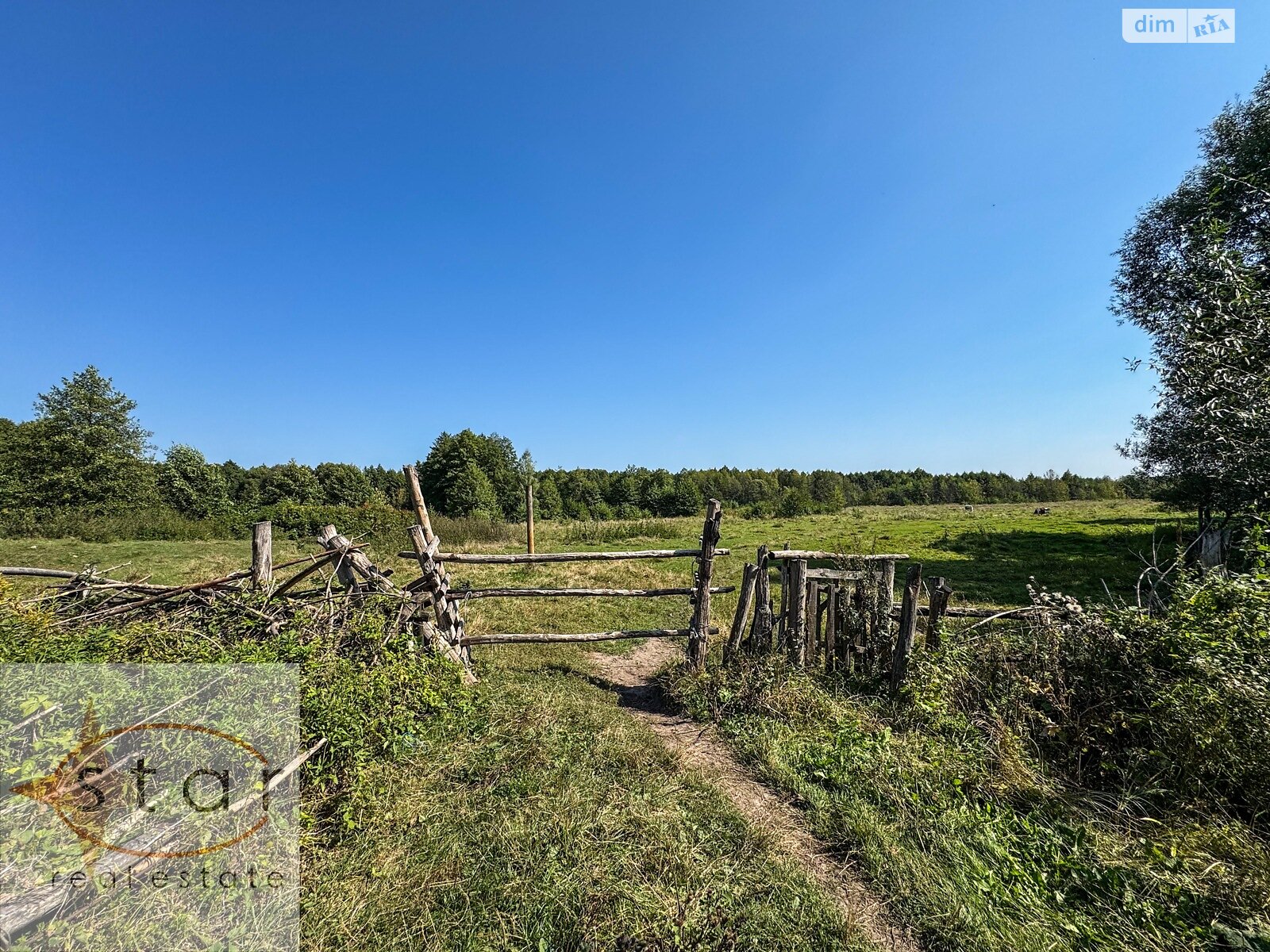 Земельный участок под жилую застройку в Седневе, площадь 215 соток фото 1 Земельный участок под жилую застройку в Седневе, площадь 215 соток фото 1