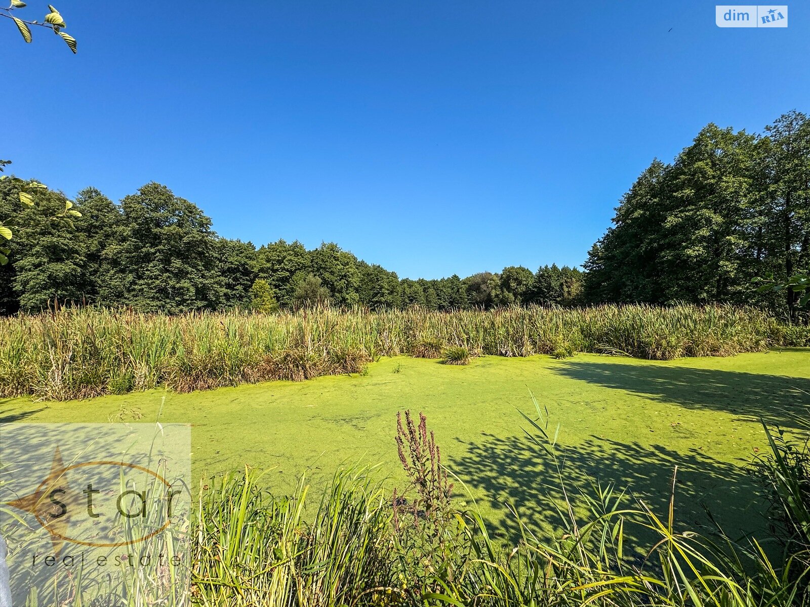 Земельный участок под жилую застройку в Седневе, площадь 215 соток фото 1 Земельный участок под жилую застройку в Седневе, площадь 215 соток фото 1