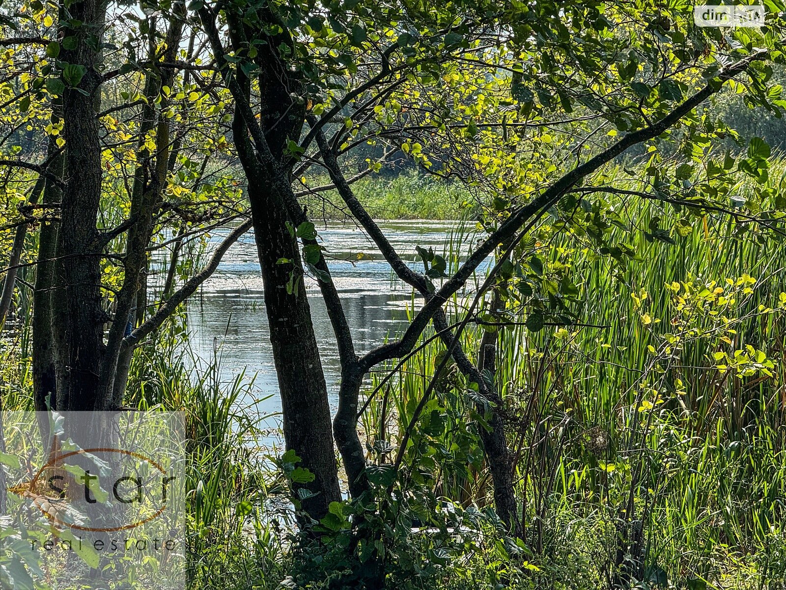 Земельный участок под жилую застройку в Седневе, площадь 215 соток фото 1 Земельный участок под жилую застройку в Седневе, площадь 215 соток фото 1