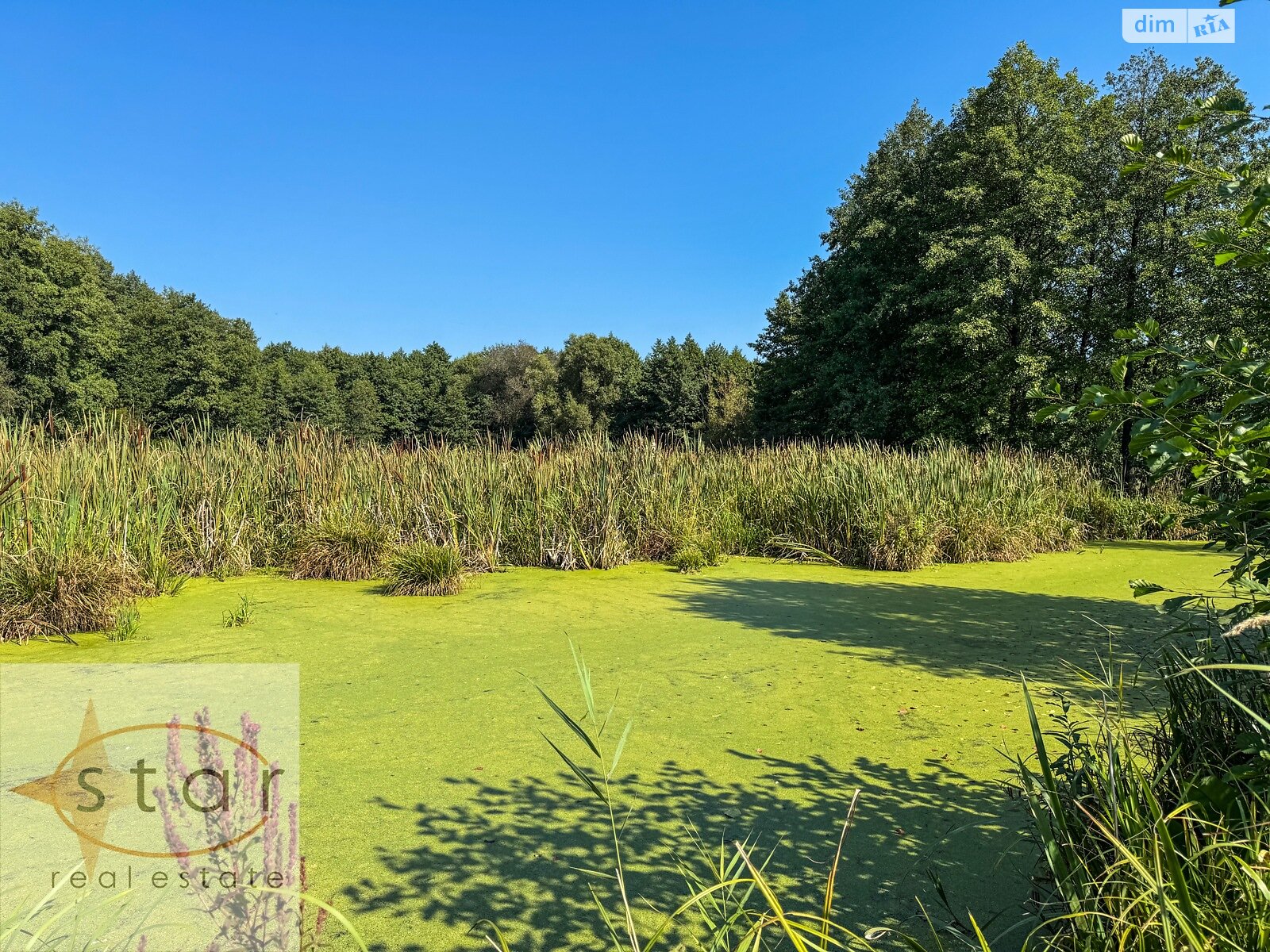 Земельный участок под жилую застройку в Седневе, площадь 215 соток фото 1 Земельный участок под жилую застройку в Седневе, площадь 215 соток фото 1