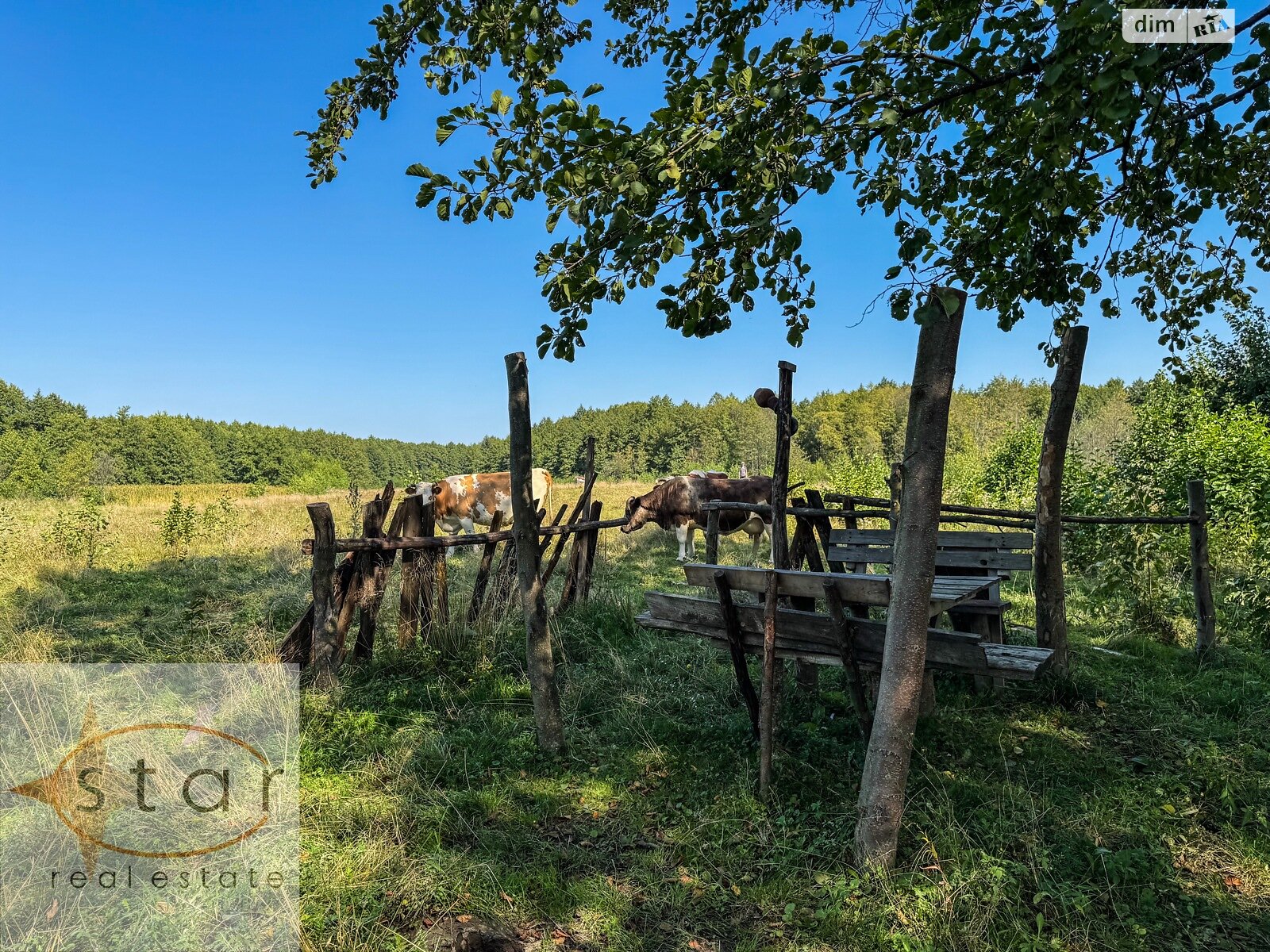 Земельный участок под жилую застройку в Седневе, площадь 215 соток фото 1 Земельный участок под жилую застройку в Седневе, площадь 215 соток фото 1