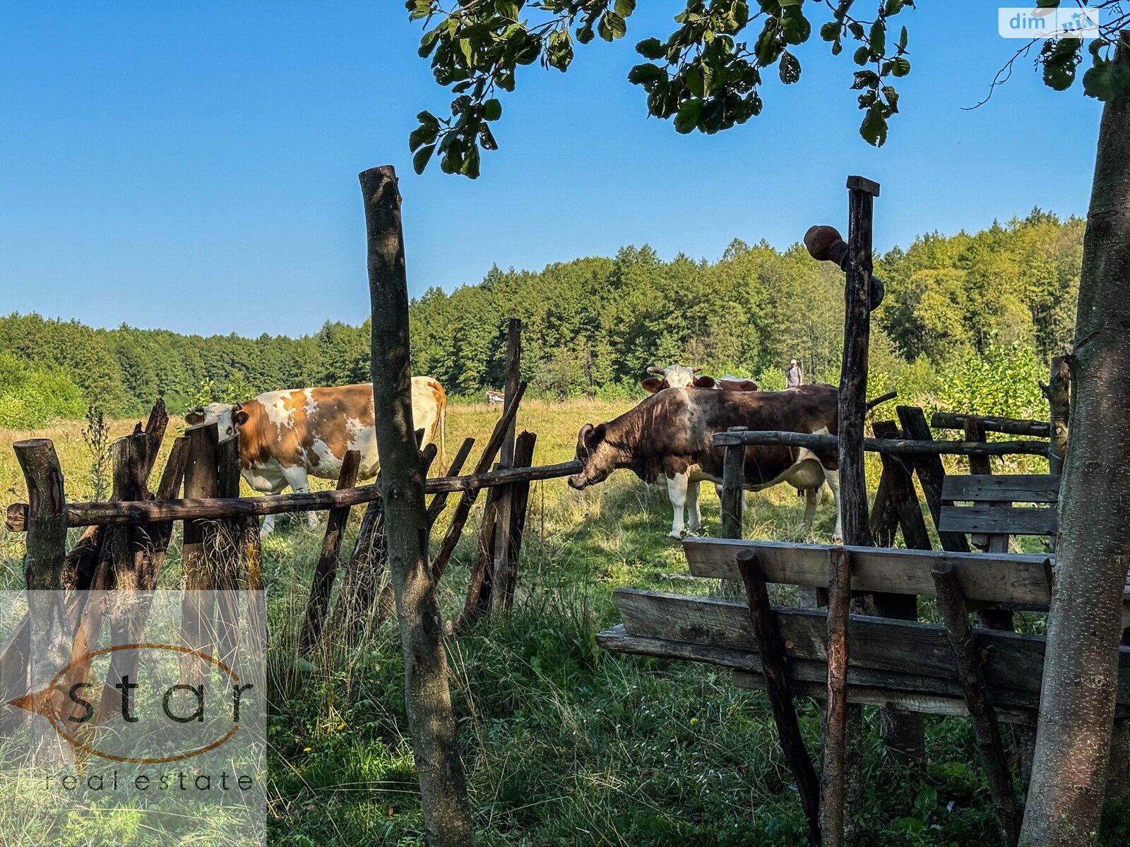 Земельный участок под жилую застройку в Седневе, площадь 215 соток фото 1 Земельный участок под жилую застройку в Седневе, площадь 215 соток фото 1