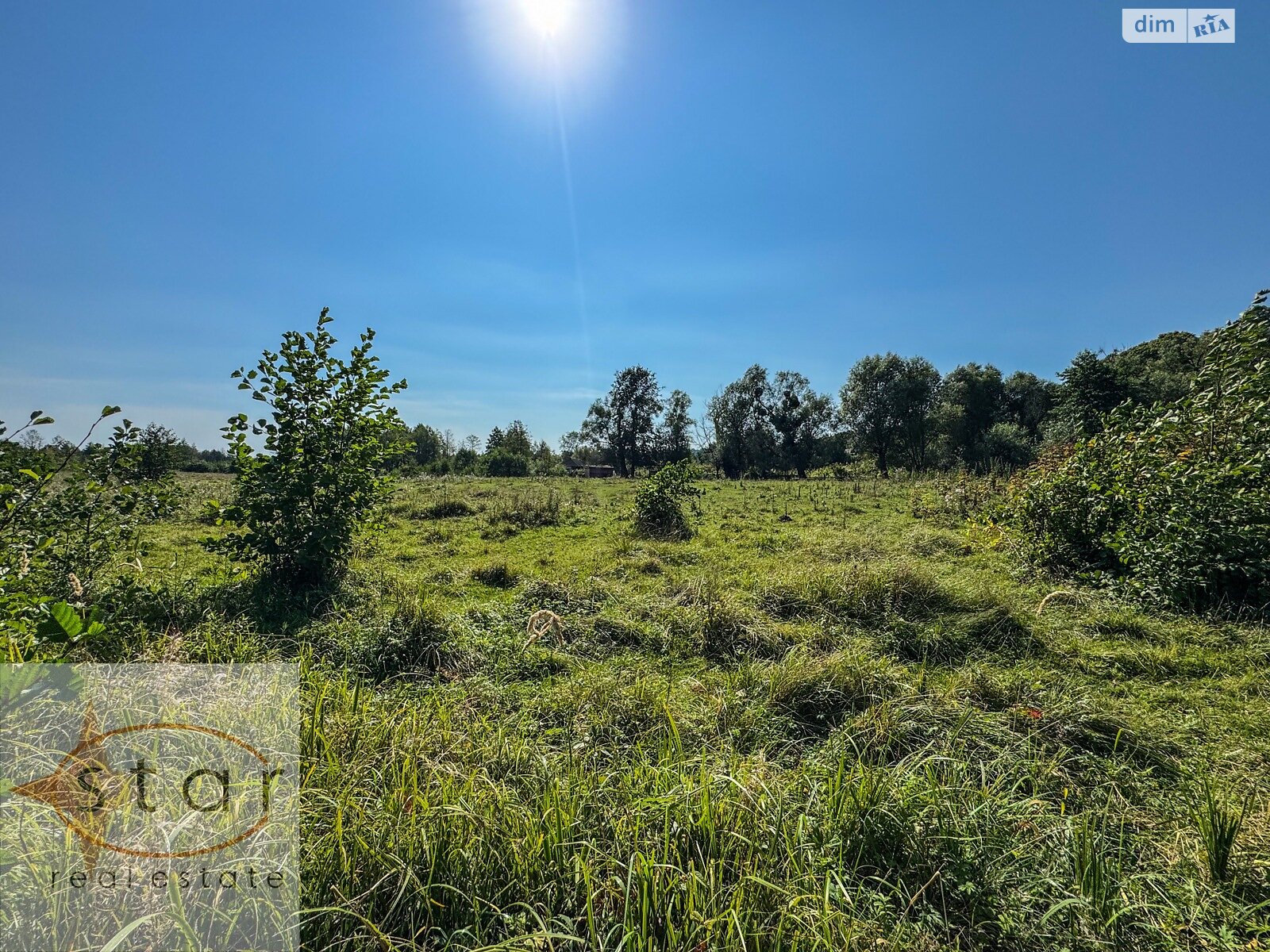 Земельный участок под жилую застройку в Седневе, площадь 215 соток фото 1 Земельный участок под жилую застройку в Седневе, площадь 215 соток фото 1
