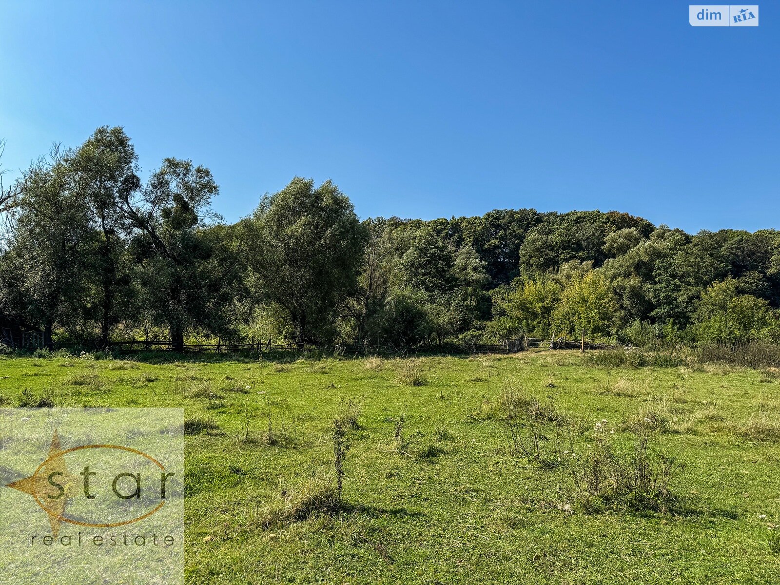 Земельный участок под жилую застройку в Седневе, площадь 215 соток фото 1 Земельный участок под жилую застройку в Седневе, площадь 215 соток фото 1