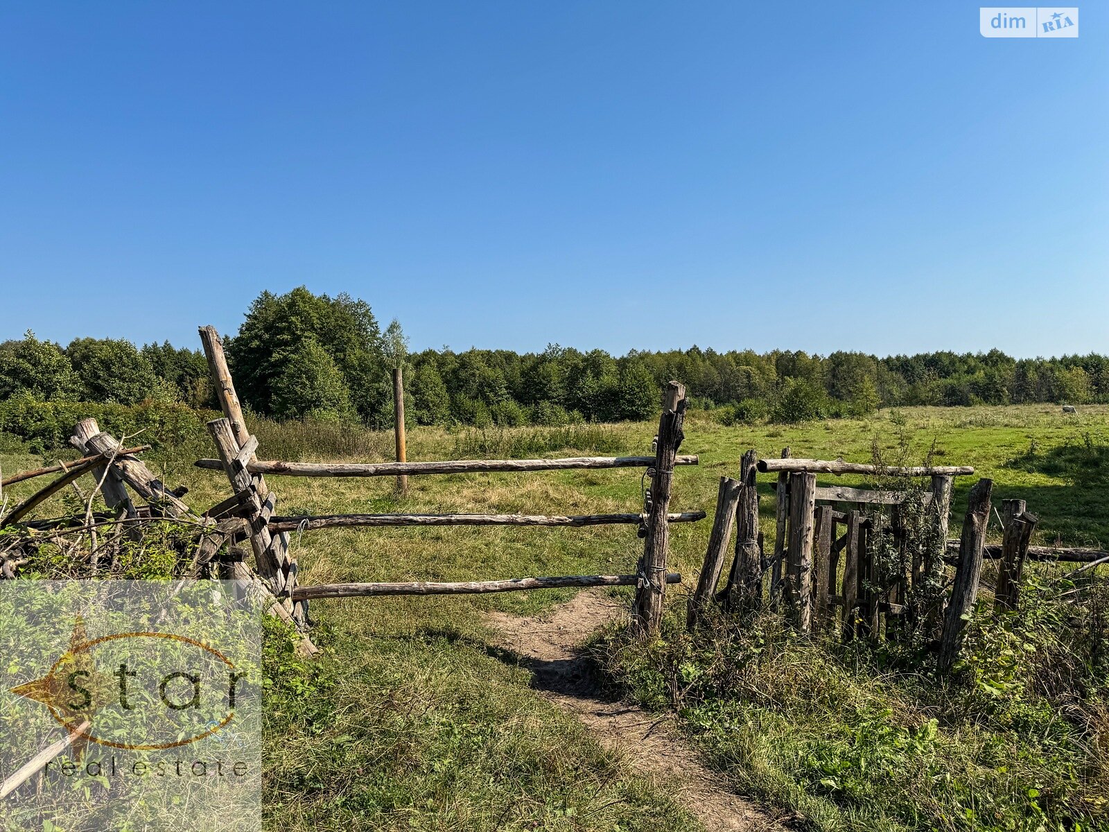 Земельный участок под жилую застройку в Седневе, площадь 215 соток фото 1 Земельный участок под жилую застройку в Седневе, площадь 215 соток фото 1