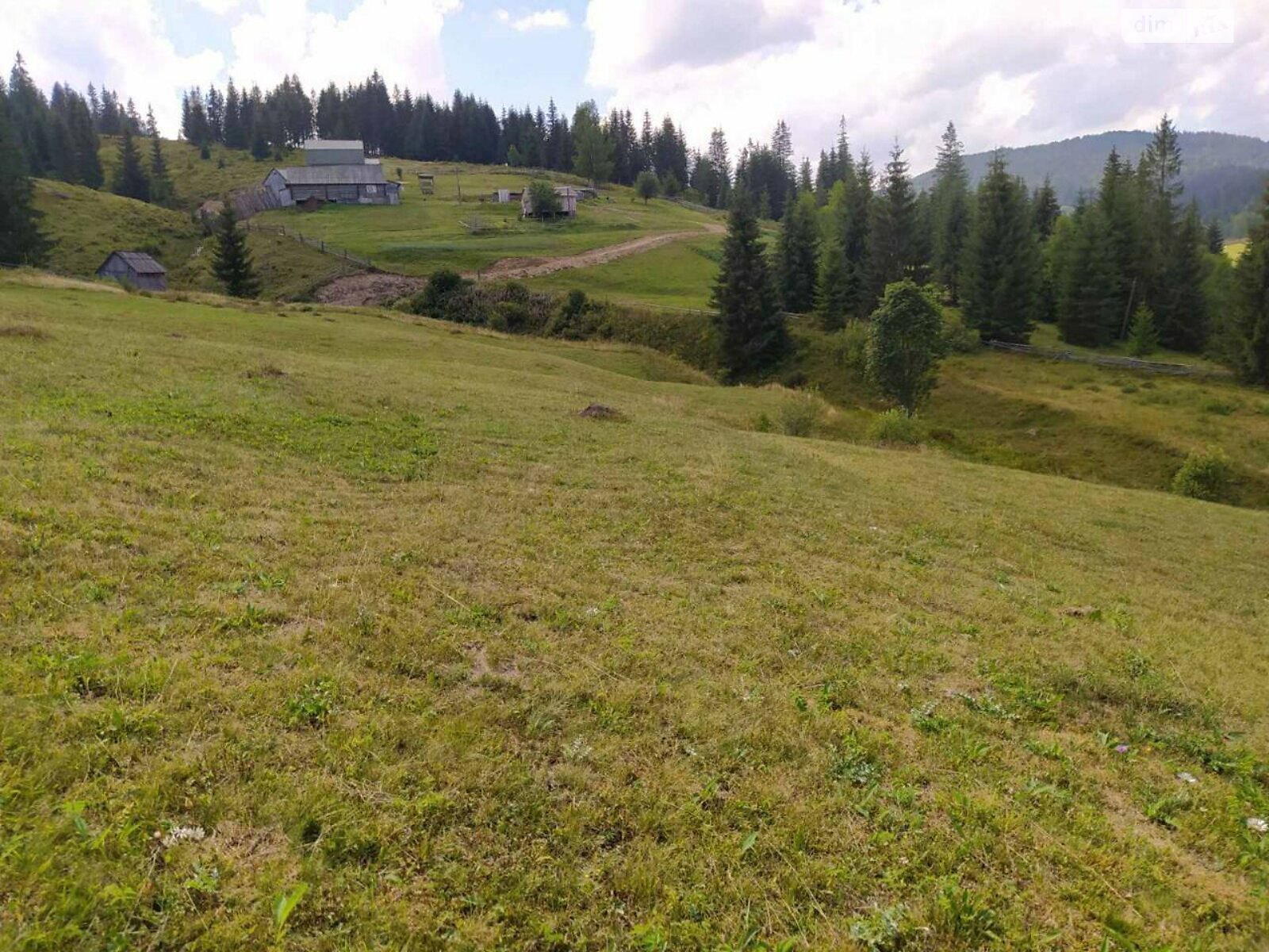 Земельный участок под жилую застройку в Сенечове, площадь 1 Га фото 1 Земельный участок под жилую застройку в Сенечове, площадь 1 Га фото 1