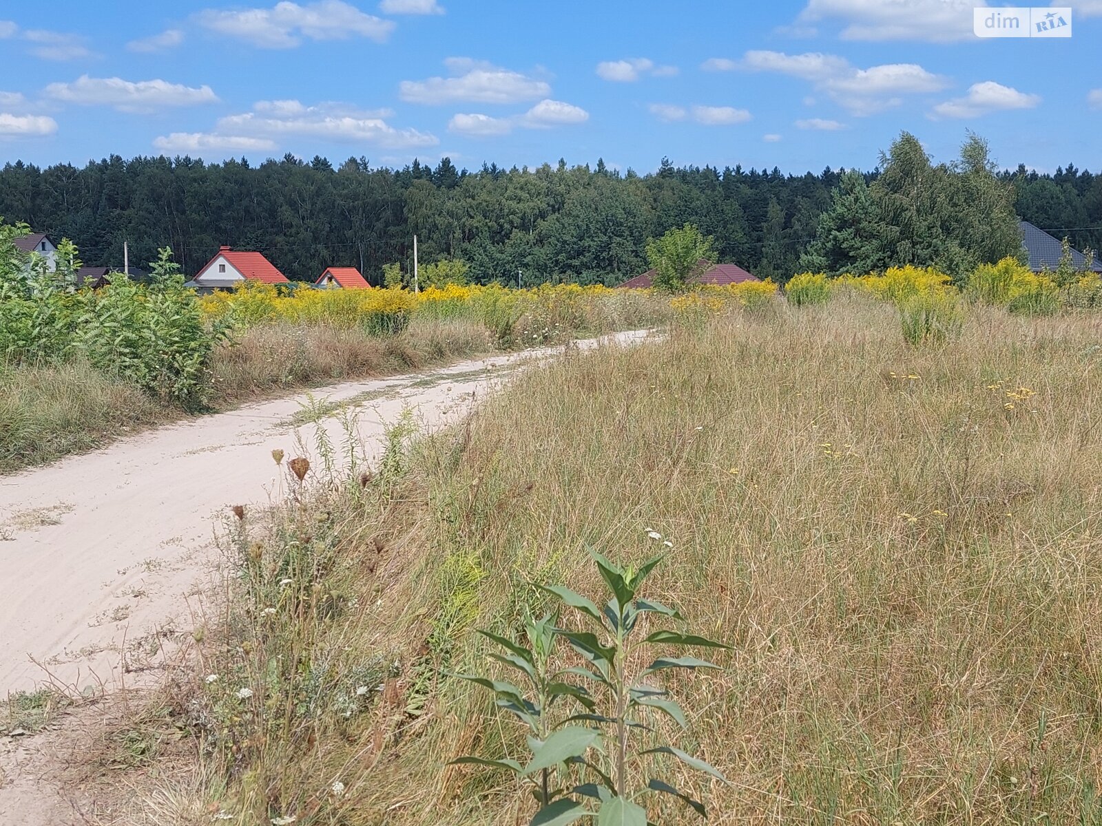 Земельна ділянка під житлову забудову в Сергіївці, площа 15 соток фото 1