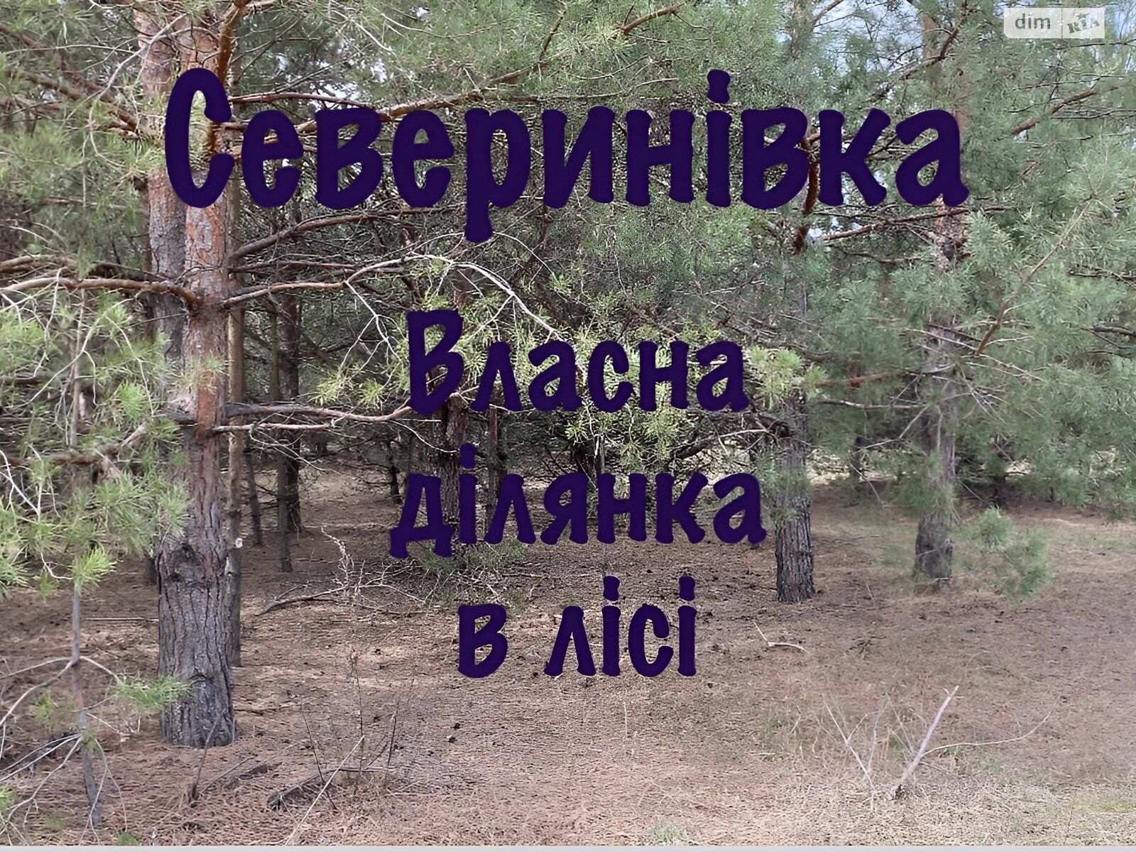 Земельна ділянка під житлову забудову в Северинівці, площа 110 соток фото 1