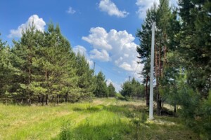 Земельный участок под жилую застройку в Севериновке, площадь 15 соток фото 2