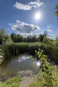 Земельный участок под жилую застройку в Севериновке, площадь 25 соток фото 2