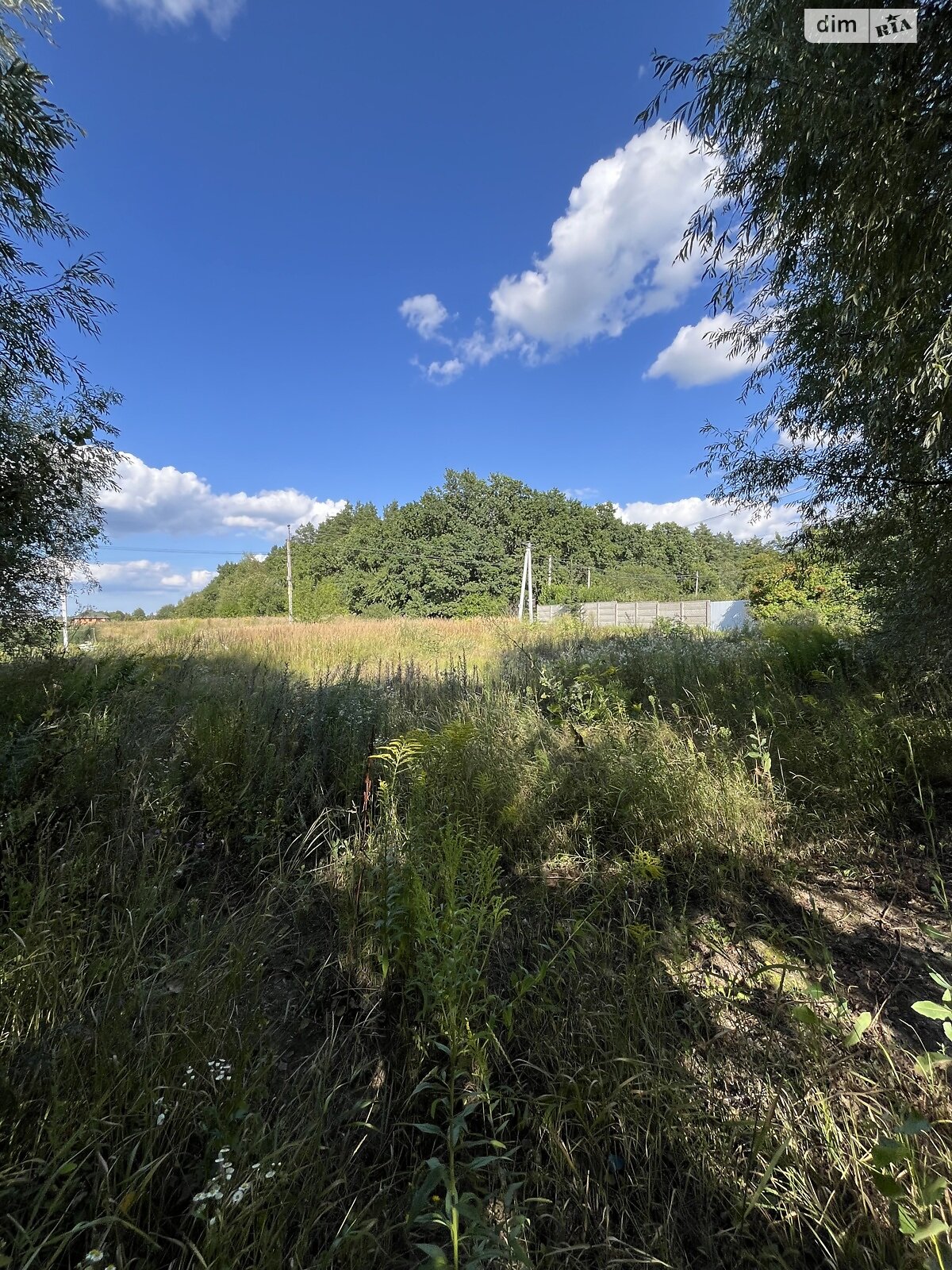 Земельный участок под жилую застройку в Севериновке, площадь 25 соток фото 1