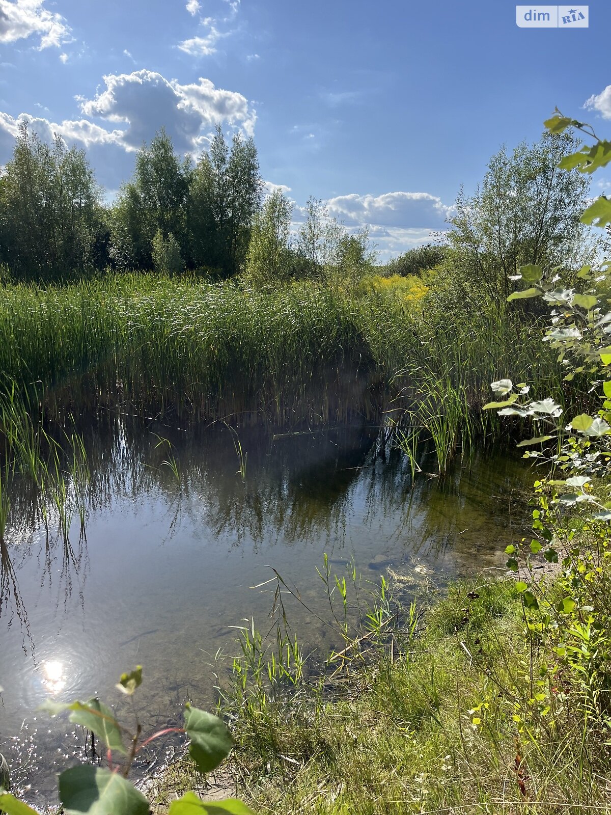 Земельный участок под жилую застройку в Севериновке, площадь 25 соток фото 1