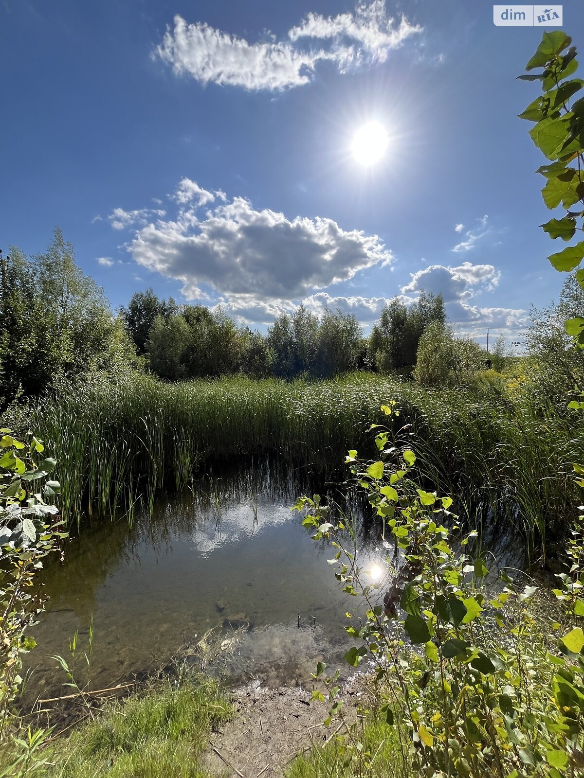 Земельный участок под жилую застройку в Севериновке, площадь 25 соток фото 1