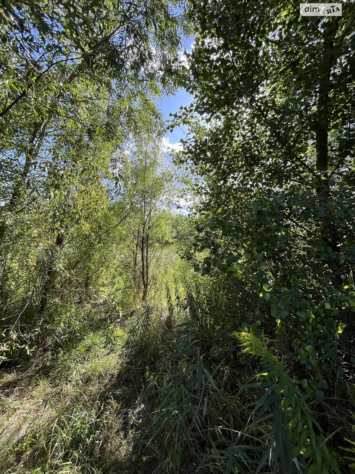 Земельный участок под жилую застройку в Севериновке, площадь 25 соток фото 1