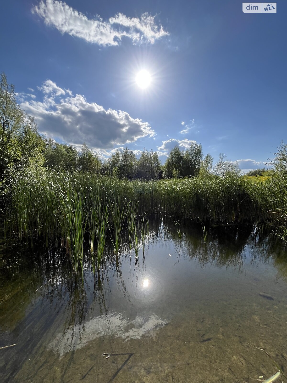 Земельный участок под жилую застройку в Севериновке, площадь 25 соток фото 1