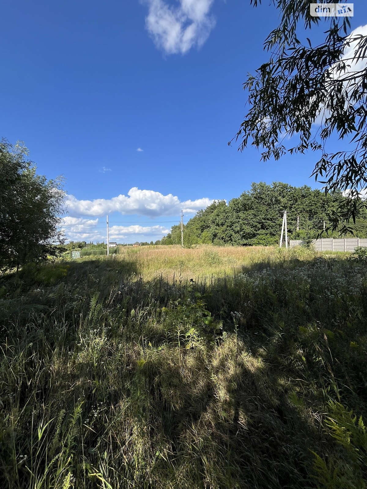 Земельный участок под жилую застройку в Севериновке, площадь 25 соток фото 1