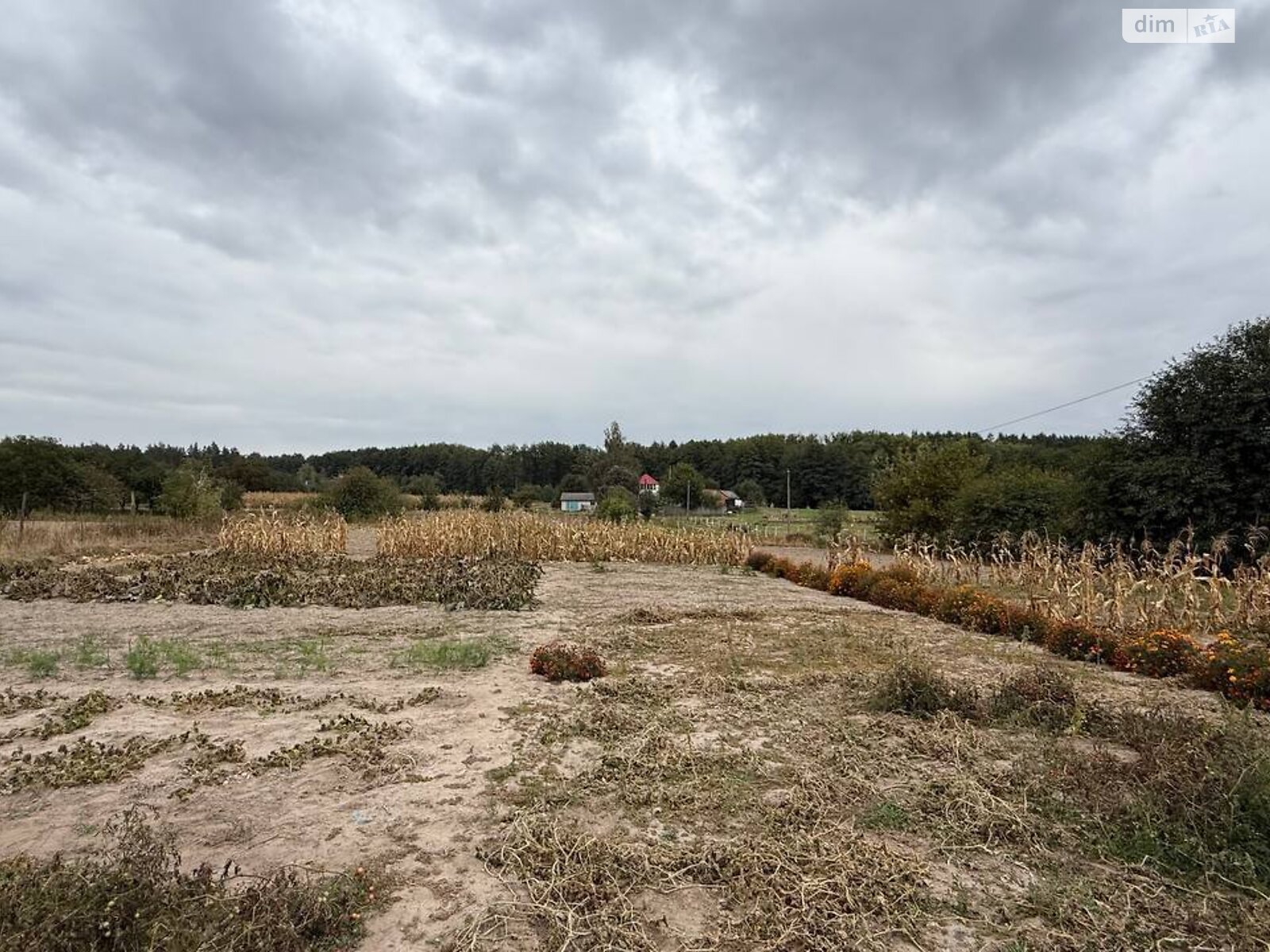 Земельна ділянка під житлову забудову в Северинівці, площа 20 соток фото 1