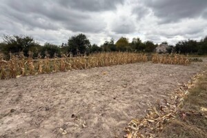 Земельна ділянка під житлову забудову в Северинівці, площа 20 соток фото 2