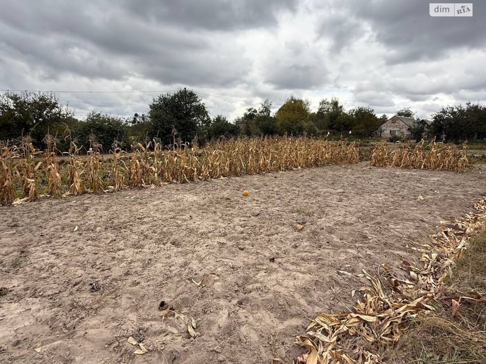 Земельна ділянка під житлову забудову в Северинівці, площа 20 соток фото 1