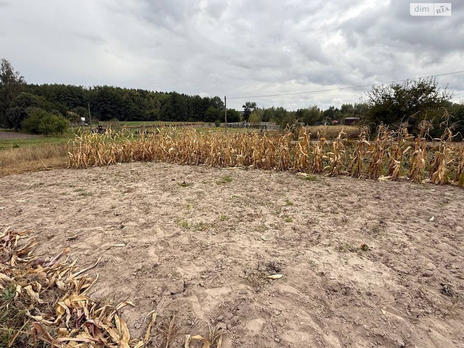 Земельна ділянка під житлову забудову в Северинівці, площа 20 соток фото 1