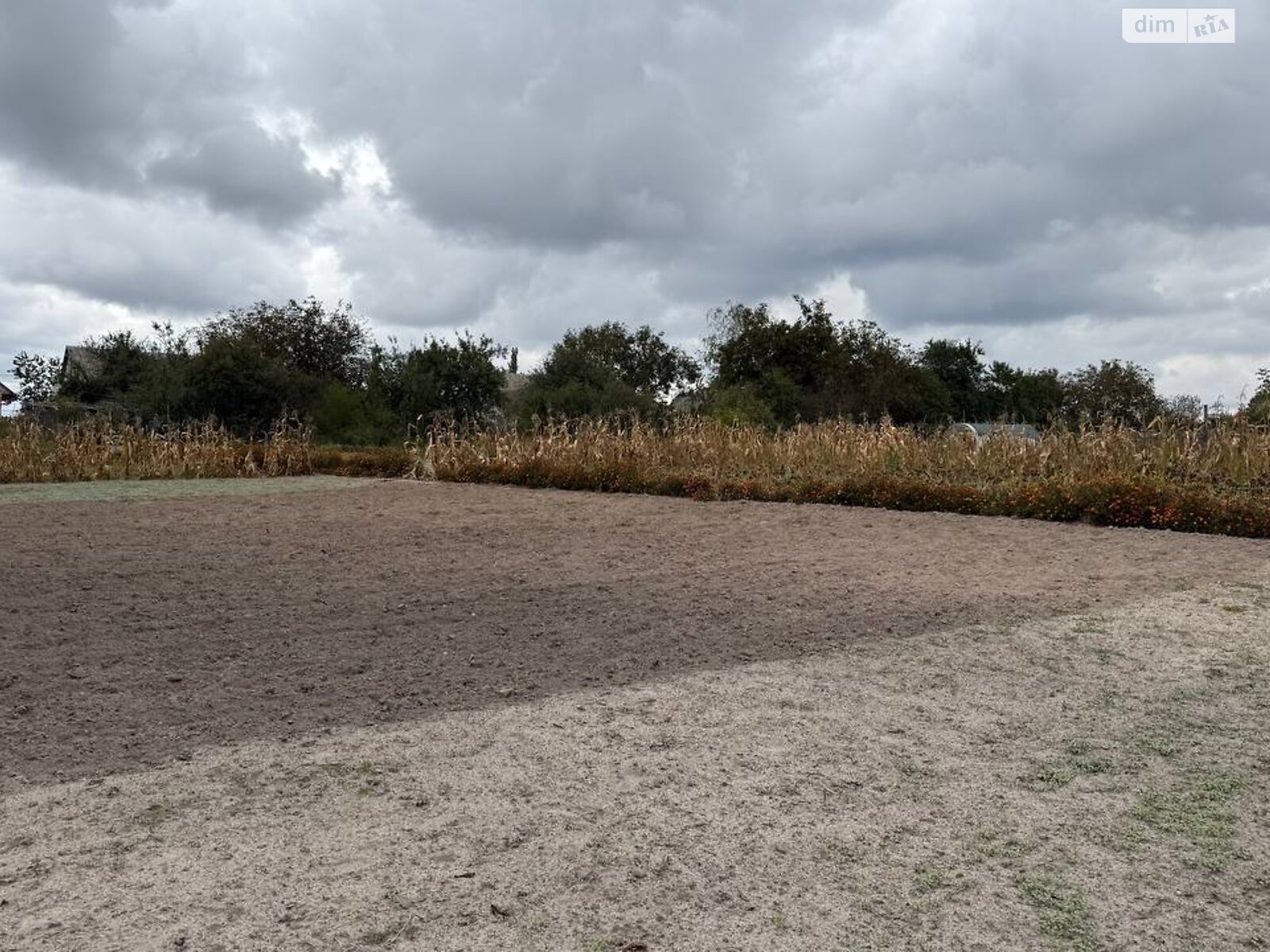 Земельна ділянка під житлову забудову в Северинівці, площа 20 соток фото 1