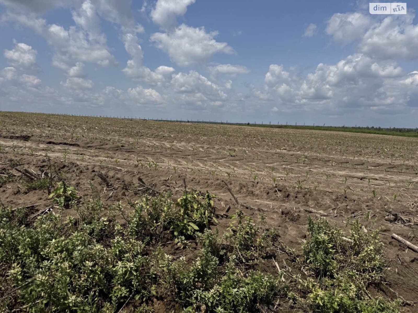 Земельный участок под жилую застройку в Севериновке, площадь 4.8841 Га фото 1 Земельный участок под жилую застройку в Севериновке, площадь 4.8841 Га фото 1