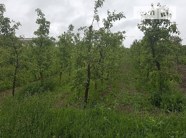 Земля под жилую застройку в селе Гибаловка, площадь 20 соток фото 1 Земля под жилую застройку в селе Гибаловка, площадь 20 соток фото 1