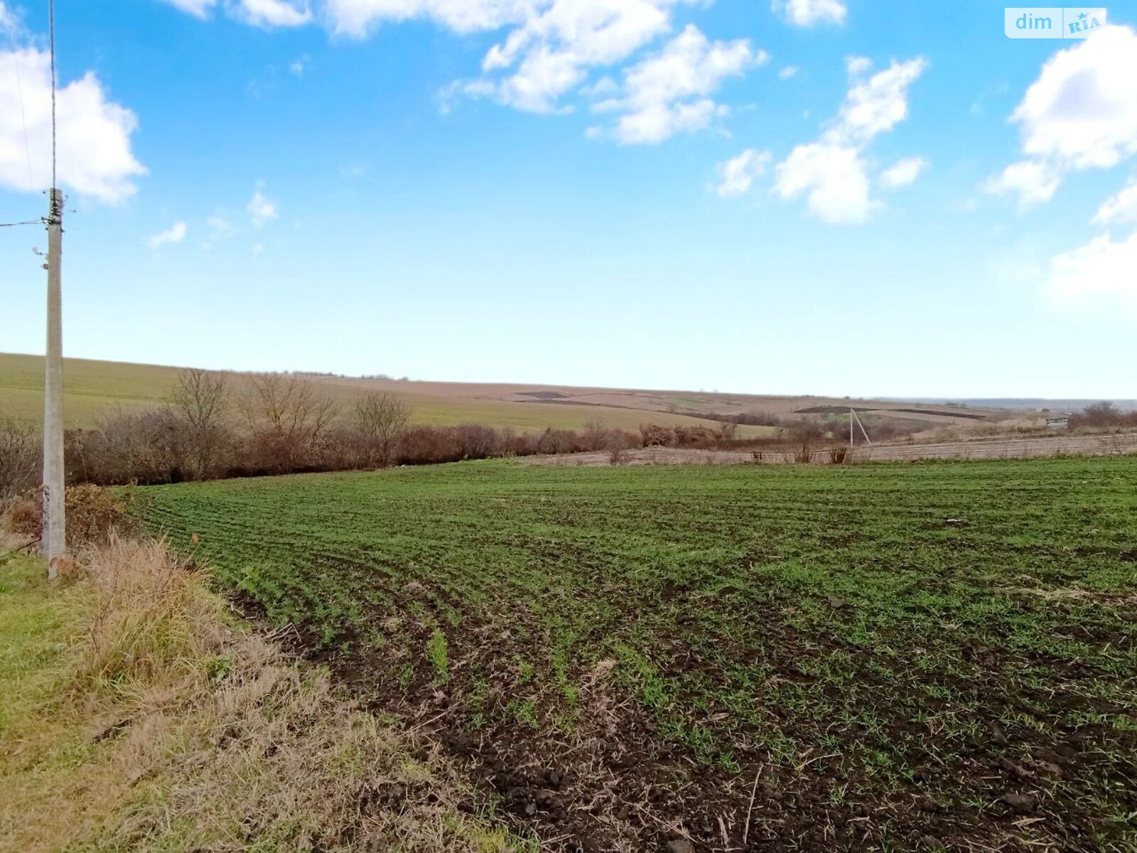 Земельна ділянка під житлову забудову в Шаровечці, площа 15 соток фото 1 Земельна ділянка під житлову забудову в Шаровечці, площа 15 соток фото 1
