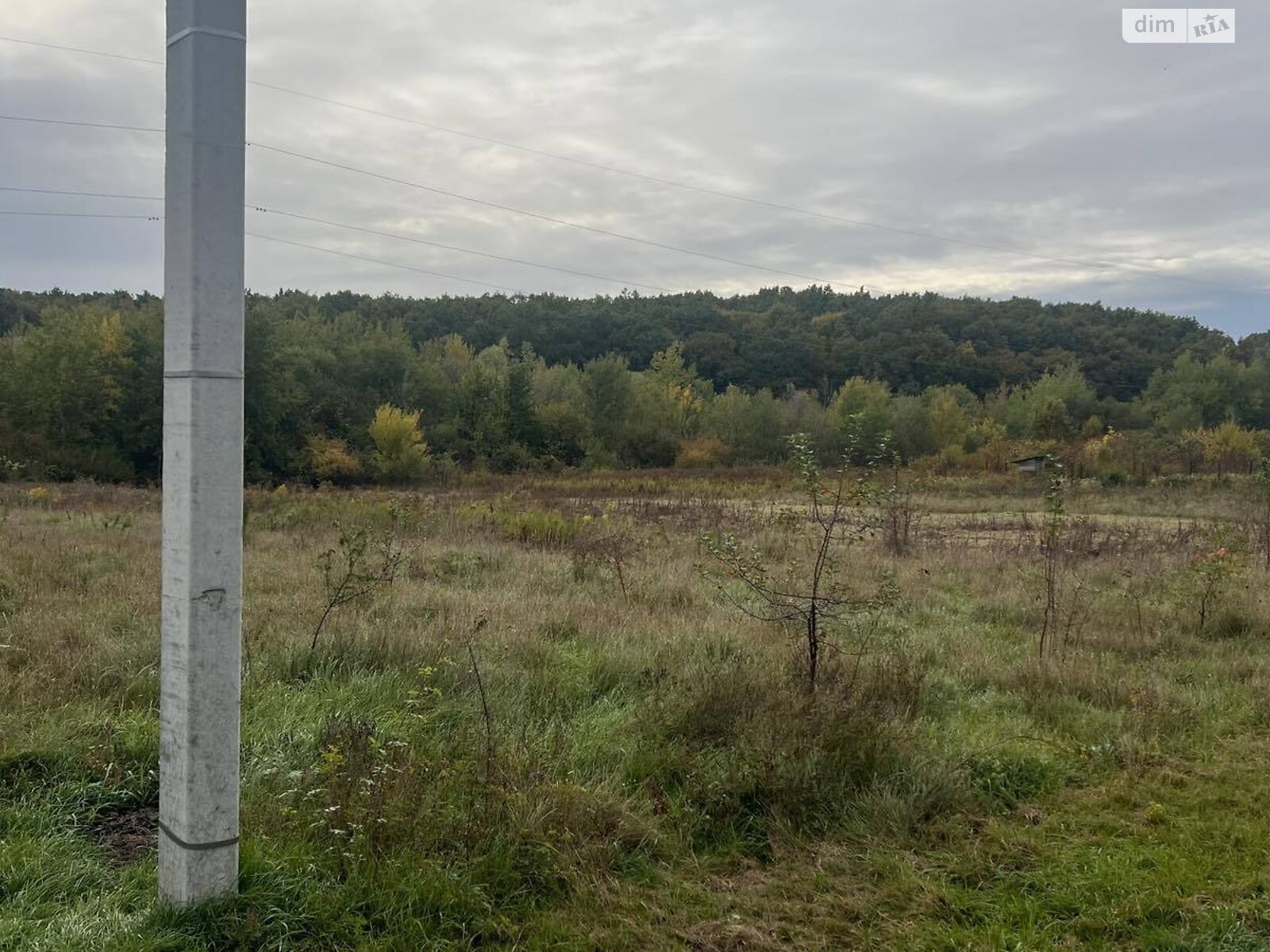 Земля под жилую застройку в Шенборне, район Компотный, площадь 12 соток фото 1 Земля под жилую застройку в Шенборне, район Компотный, площадь 12 соток фото 1