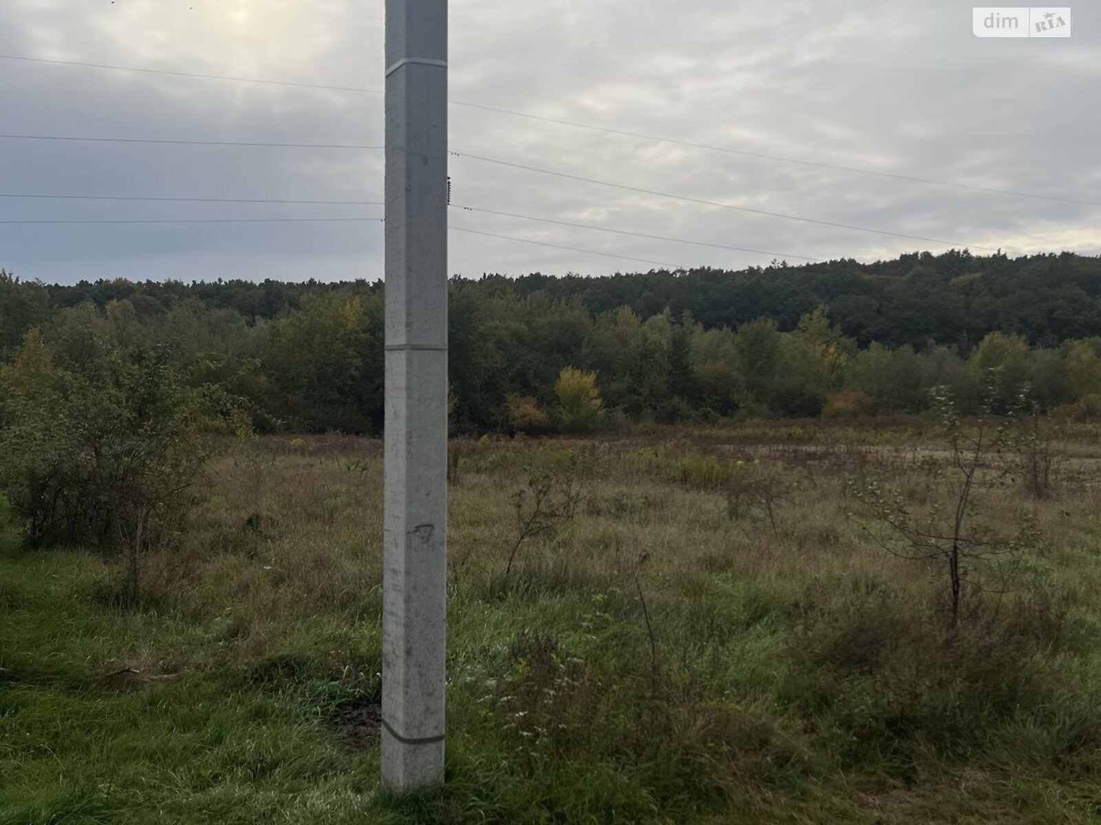 Земля под жилую застройку в Шенборне, район Компотный, площадь 12 соток фото 1 Земля под жилую застройку в Шенборне, район Компотный, площадь 12 соток фото 1