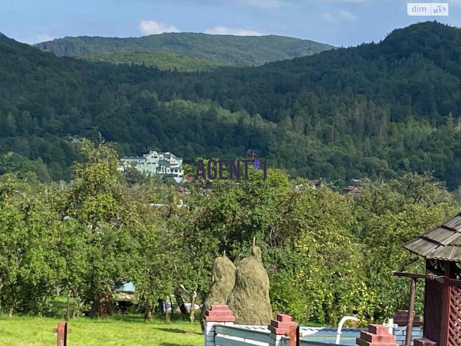 Земельна ділянка під житлову забудову в Шешорах, площа 42.33 сотки фото 1 Земельна ділянка під житлову забудову в Шешорах, площа 42.33 сотки фото 1