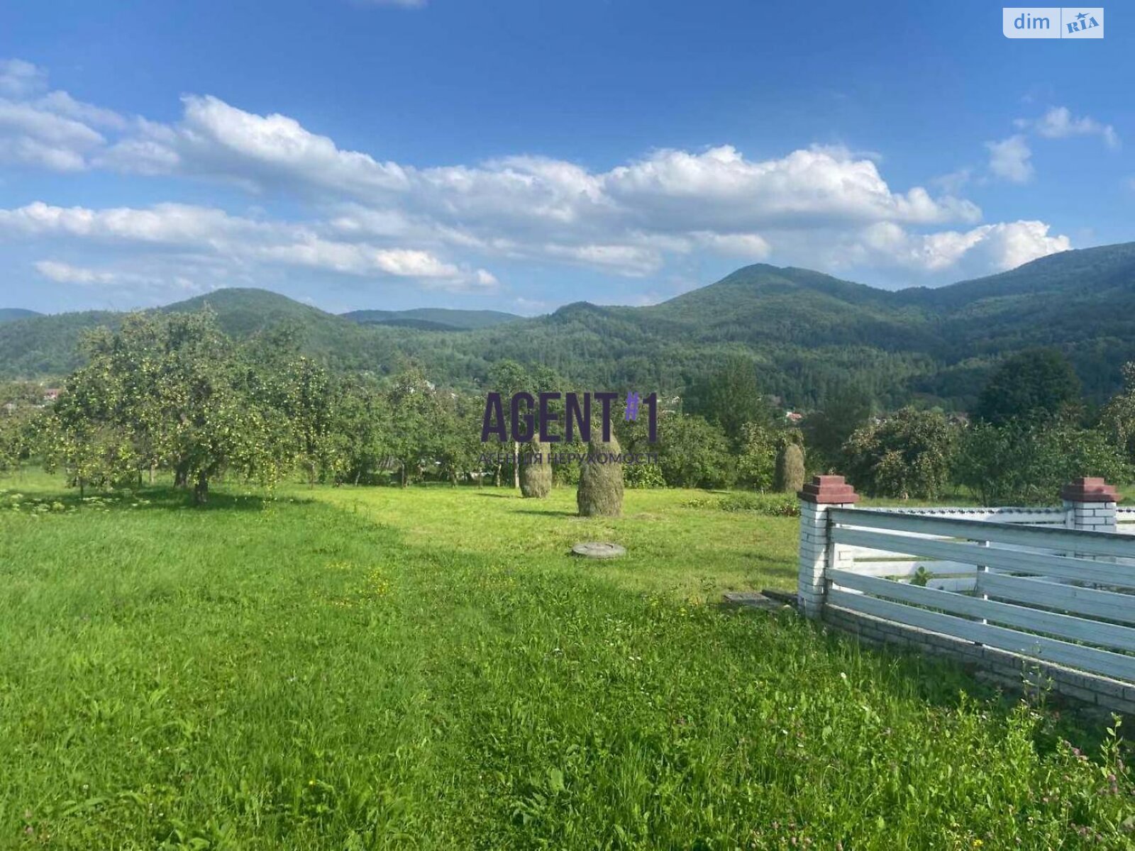 Земельна ділянка під житлову забудову в Шешорах, площа 42.33 сотки фото 1 Земельна ділянка під житлову забудову в Шешорах, площа 42.33 сотки фото 1