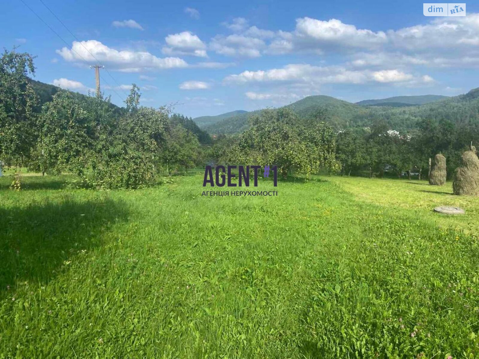 Земельна ділянка під житлову забудову в Шешорах, площа 42.33 сотки фото 1 Земельна ділянка під житлову забудову в Шешорах, площа 42.33 сотки фото 1