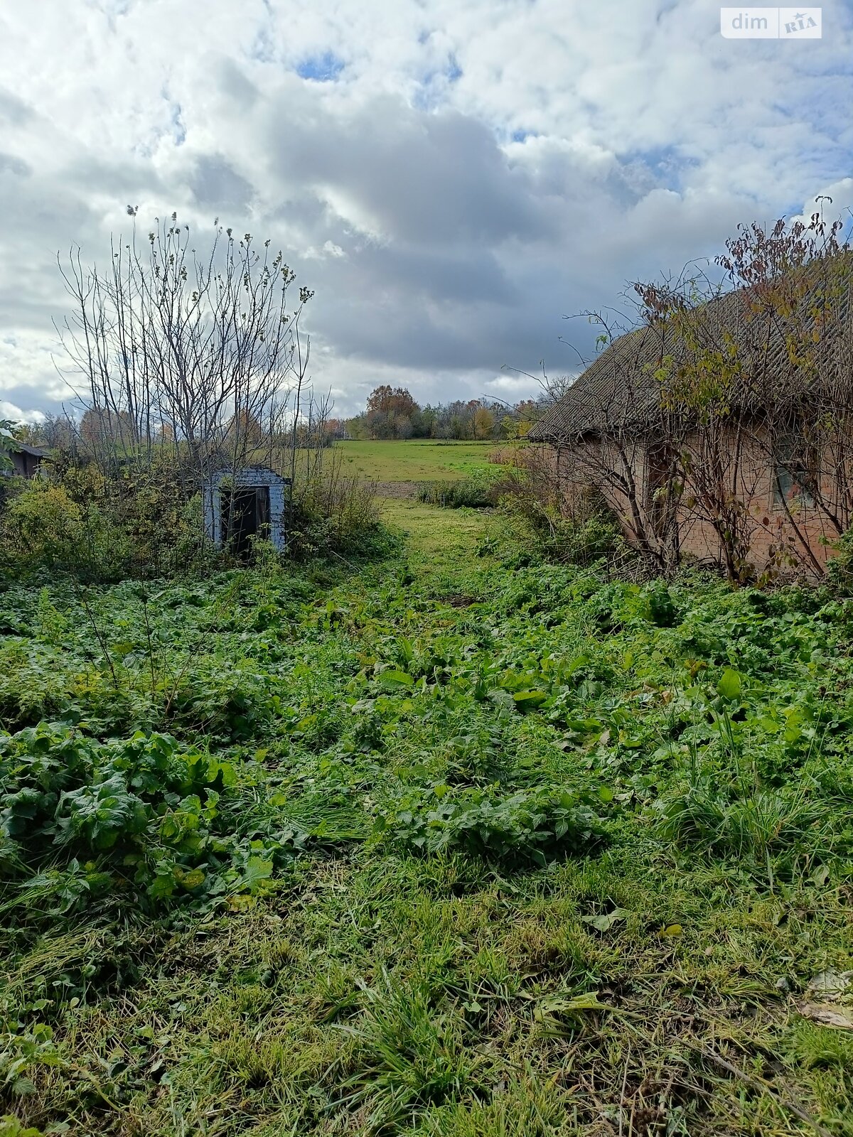 Земельна ділянка під житлову забудову в Широкій Греблі, площа 25 соток фото 1 Земельна ділянка під житлову забудову в Широкій Греблі, площа 25 соток фото 1