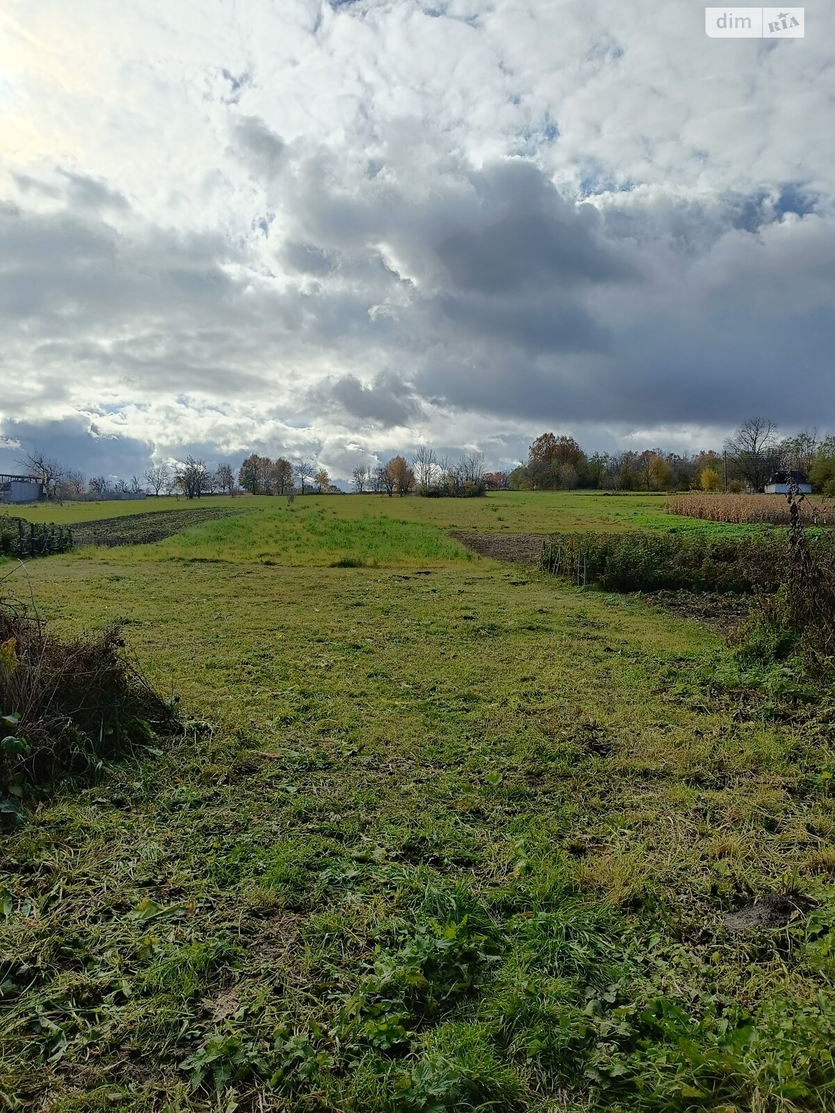 Земельна ділянка під житлову забудову в Широкій Греблі, площа 25 соток фото 1 Земельна ділянка під житлову забудову в Широкій Греблі, площа 25 соток фото 1