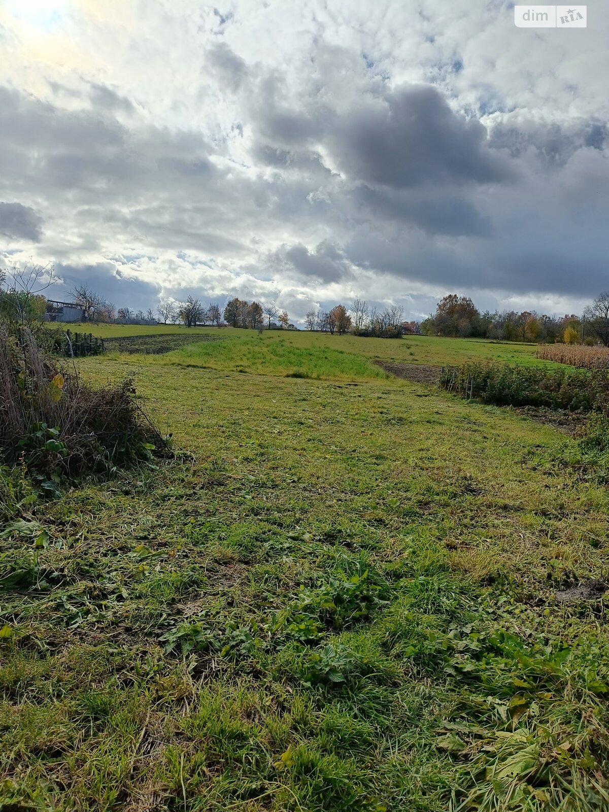 Земельна ділянка під житлову забудову в Широкій Греблі, площа 25 соток фото 1 Земельна ділянка під житлову забудову в Широкій Греблі, площа 25 соток фото 1